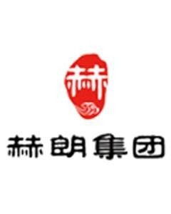 河南赫朗企業(yè)管理咨詢集團(tuán) 專(zhuān)業(yè)護(hù)航企業(yè)發(fā)展的智慧伙伴
